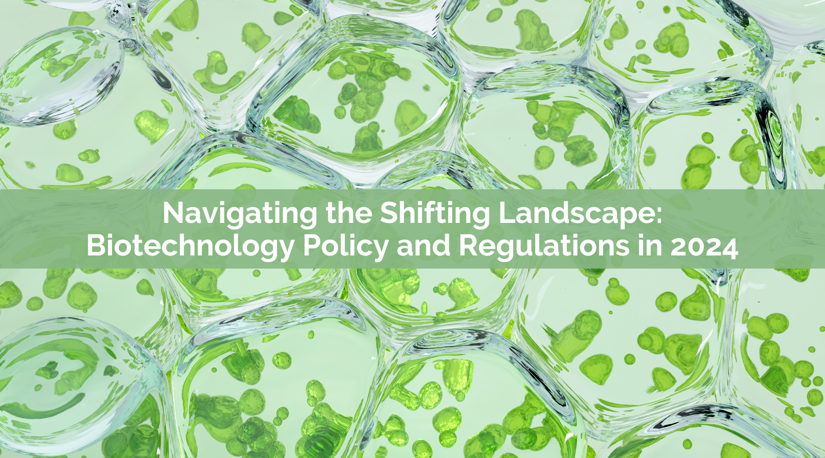 Navigating the Shifting Landscape: Biotechnology Policy and Regulations in 2024