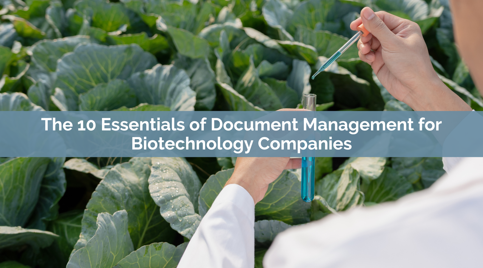 The 10 Essentials of Document Management for Biotechnology Companies