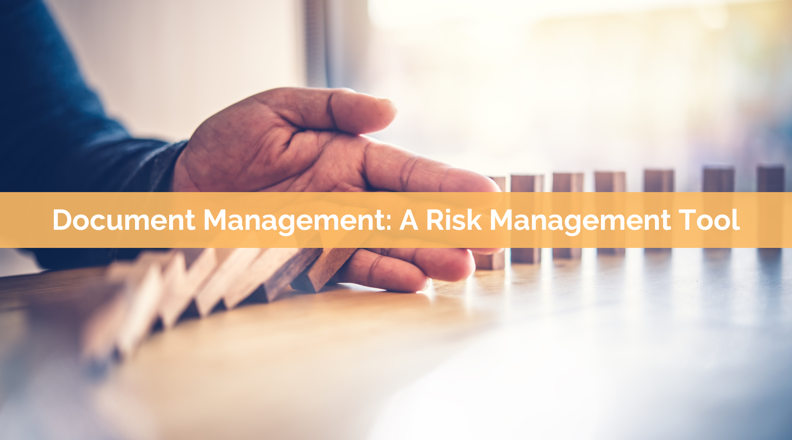 Document Management: A Risk Management Tool