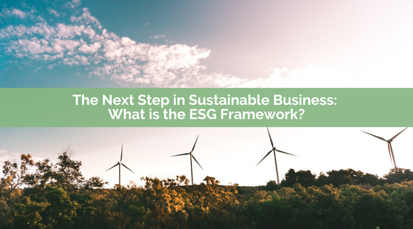 What is the ESG Framework? | Next Steps in Sustainable Business